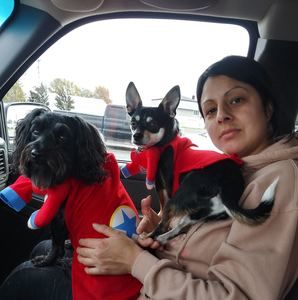 Meet your Posher, Amy